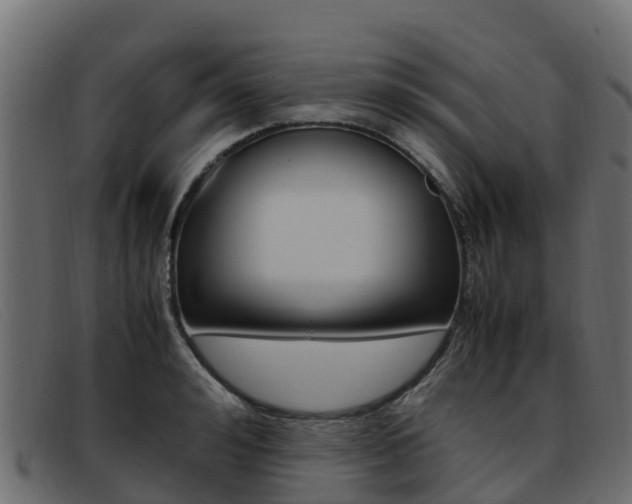 X0000093370992200710111323