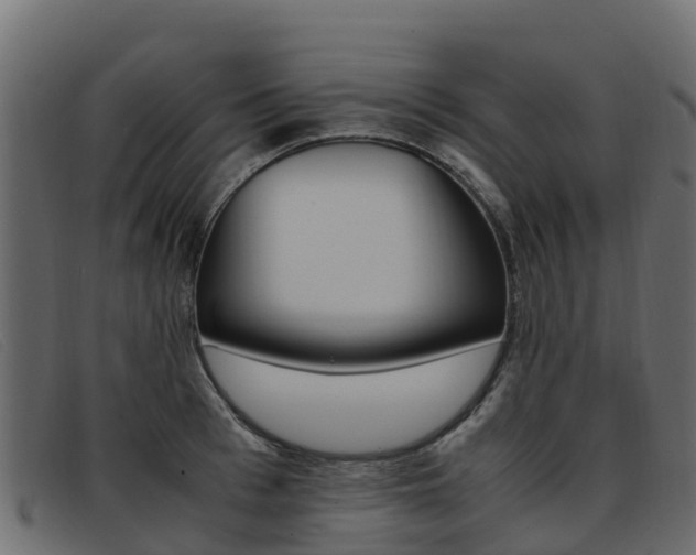 X0000093370993200710111323