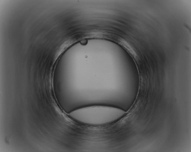 X0000093370994200710111323