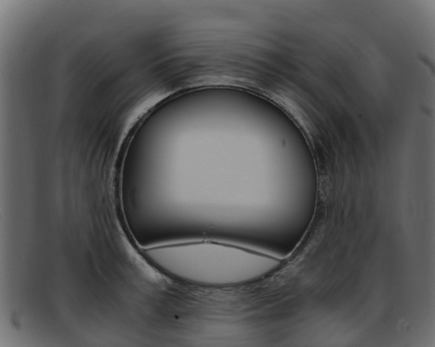 X0000093370995200710111323