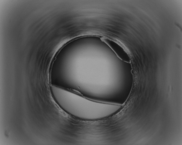 X0000093370996200710111323