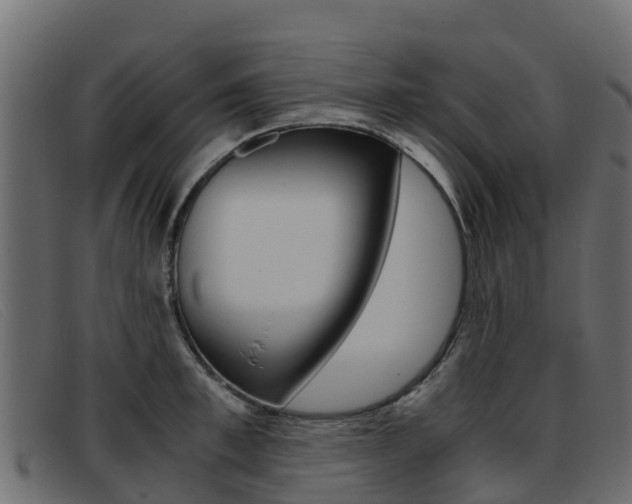 X0000093370997200710111323