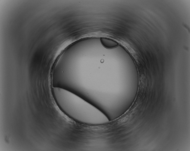 X0000093370998200710111323