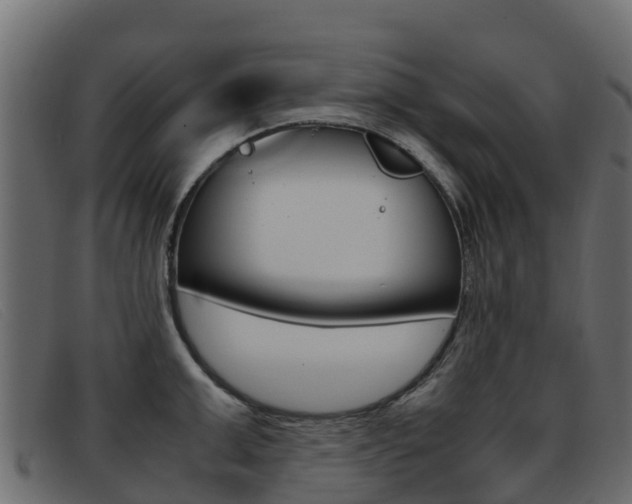 X0000093370999200710111323