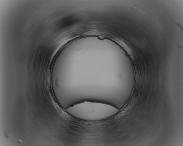 X0000093371000200710111323