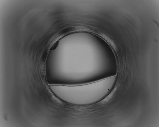 X0000093371001200710111323