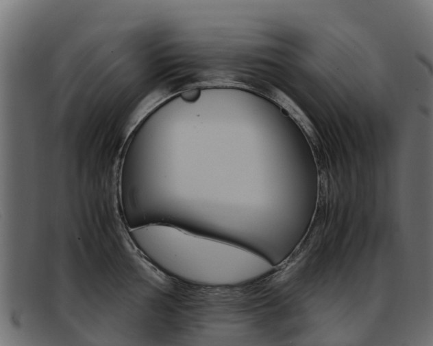 X0000093371002200710111323
