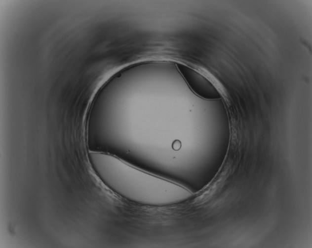 X0000093371004200710111323