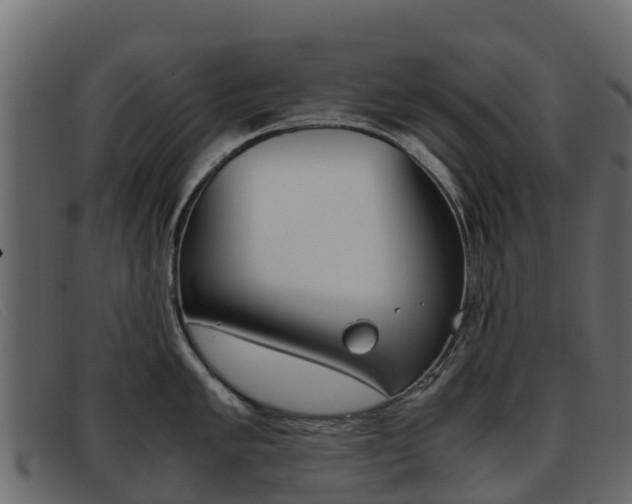 X0000093371005200710111323