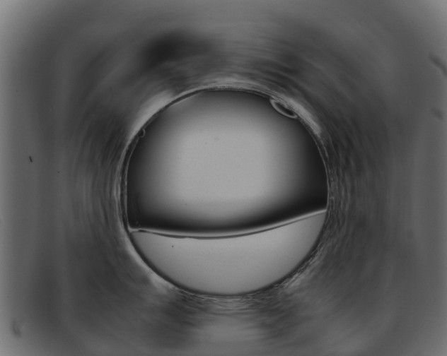 X0000093371007200710111323