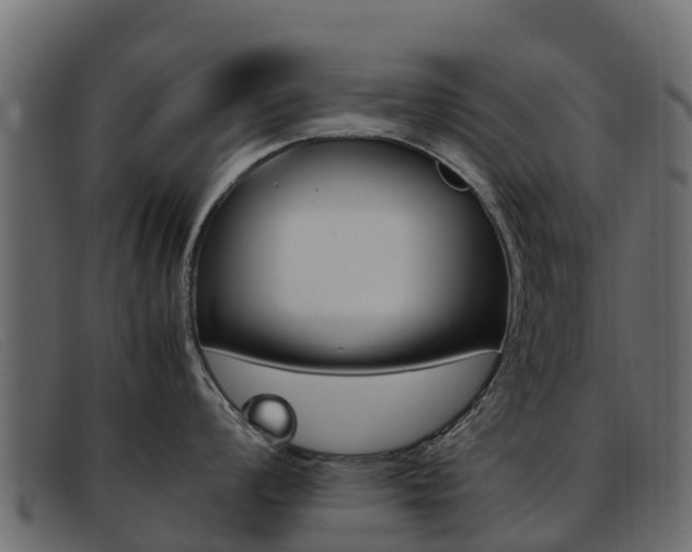 X0000093371008200710111323