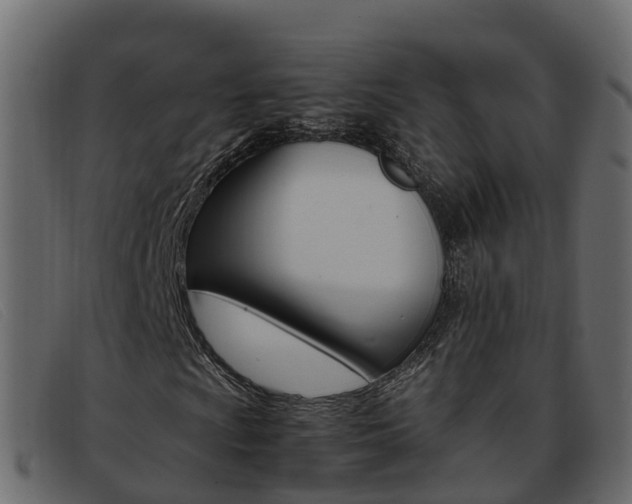 X0000093371009200710111323