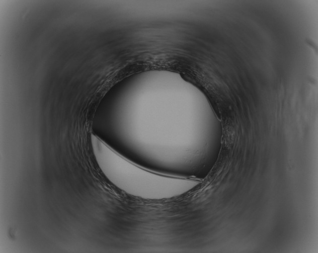 X0000093371010200710111323