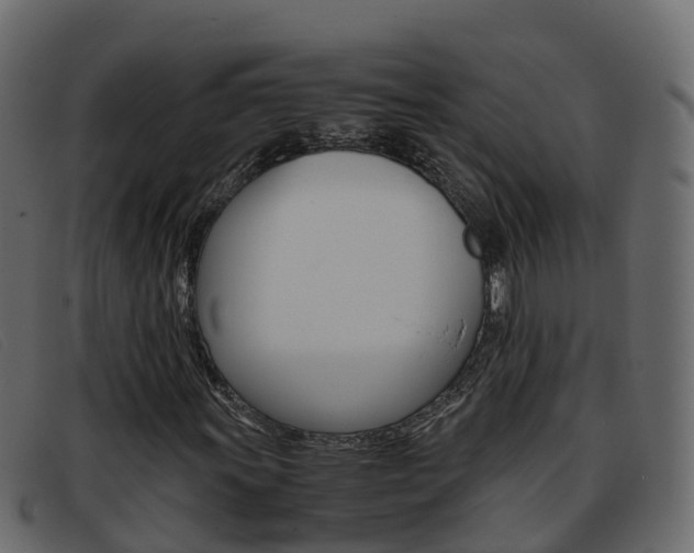 X0000093371011200710111323