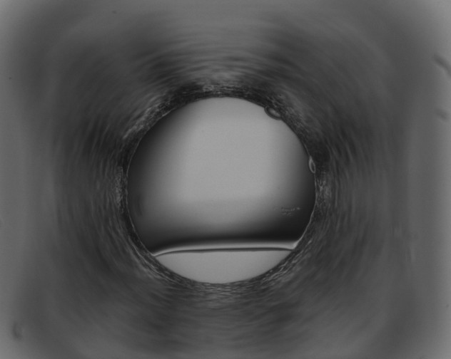 X0000093371012200710111323
