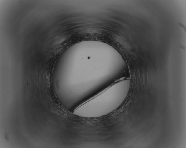 X0000093371013200710111323