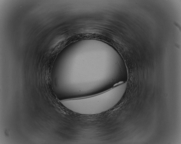 X0000093371014200710111323