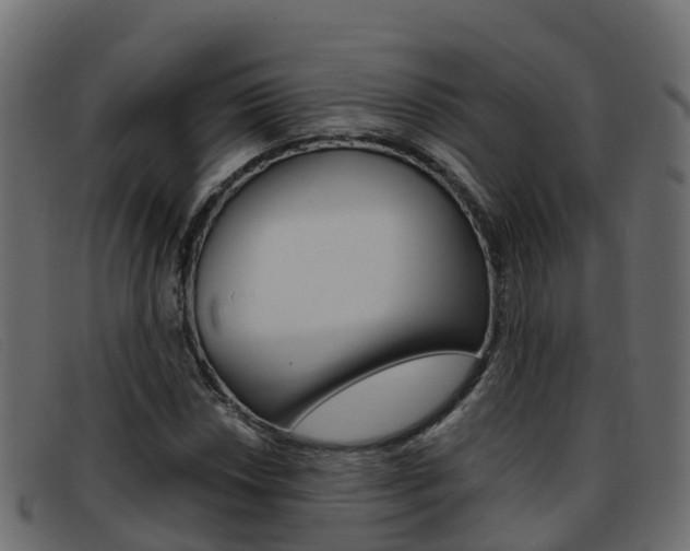 X0000093371018200710111323