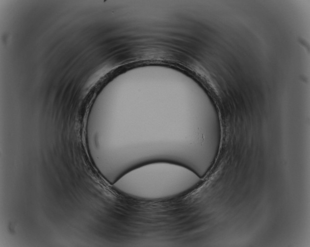 X0000093371019200710111323