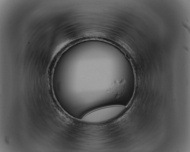 X0000093371022200710111323