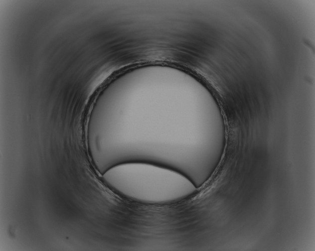 X0000093371023200710111323