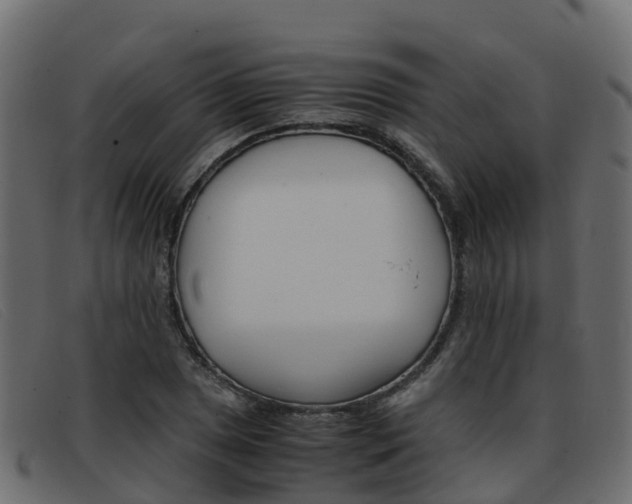 X0000093371025200710111323