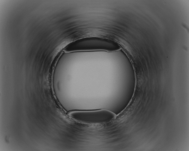 X0000093371026200710111323