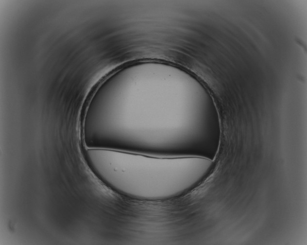 X0000093371028200710111323