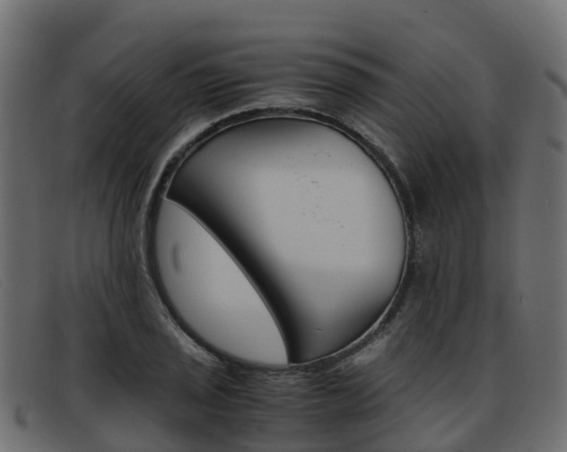 X0000093371029200710111323