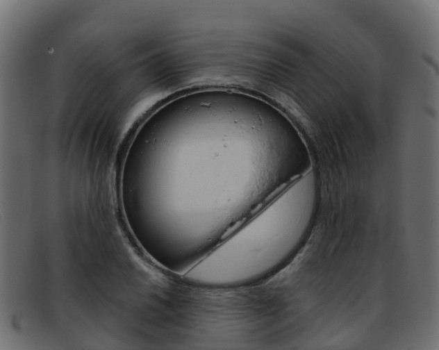 X0000093371030200710111323