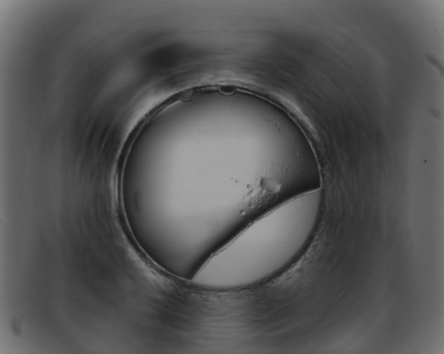 X0000093371032200710111323