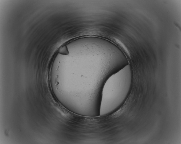 X0000093371035200710111323