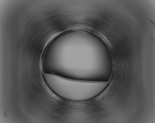X0000093371036200710111323