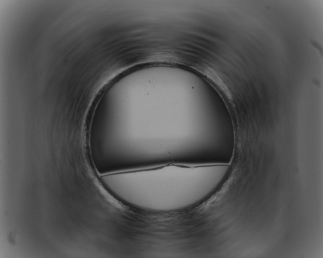 X0000093371037200710111323