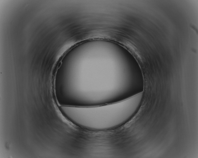 X0000093371038200710111323