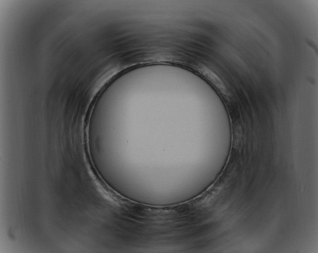 X0000093371039200710111323