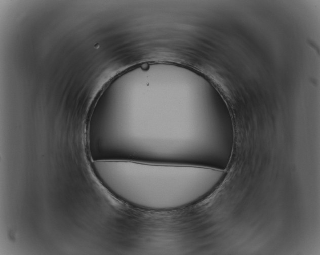X0000093371040200710111323
