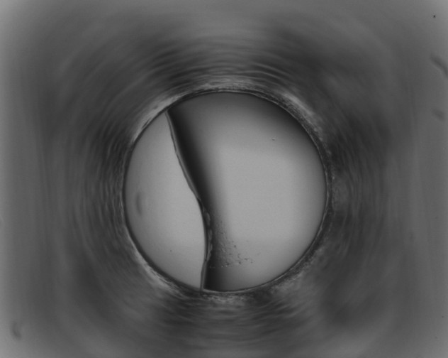 X0000093371041200710111323