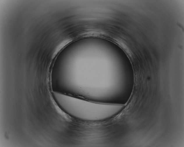 X0000093371042200710111323