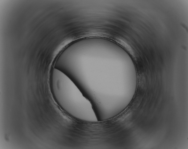 X0000093371043200710111323