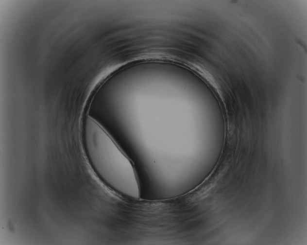 X0000093371045200710111323