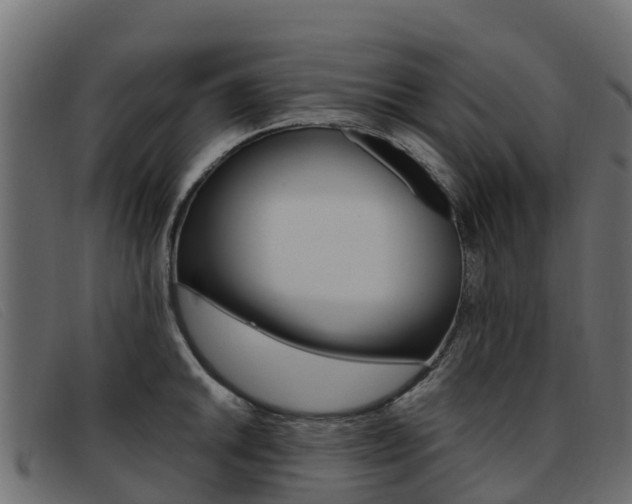 X0000093371046200710111323