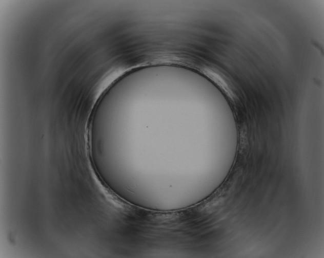 X0000093371047200710111323