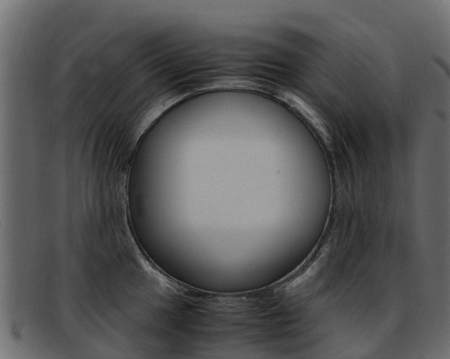 X0000093371049200710111323