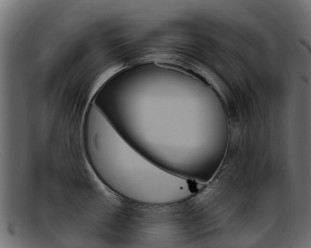 X0000093371050200710111323