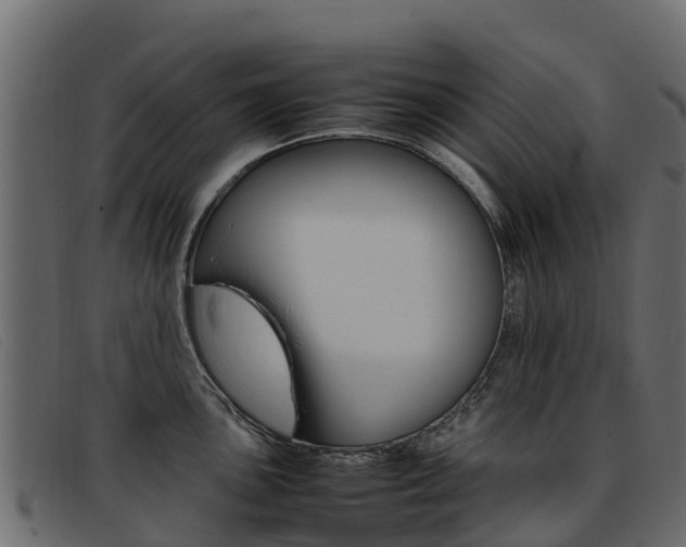 X0000093371051200710111323