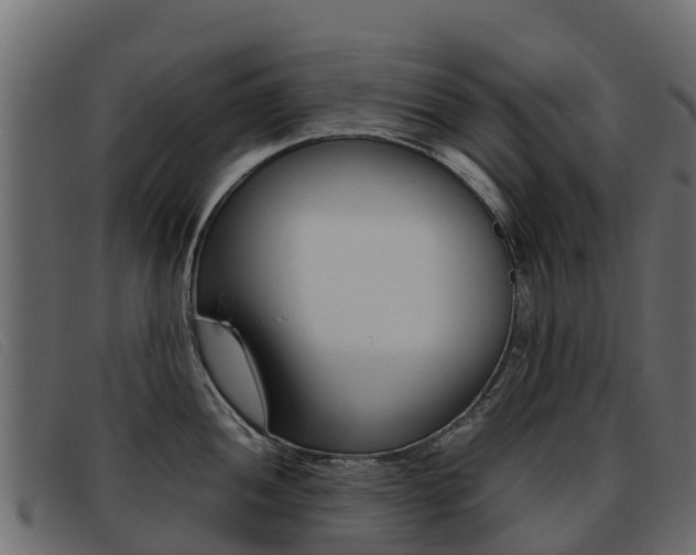 X0000093371052200710111323