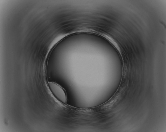 X0000093371053200710111323
