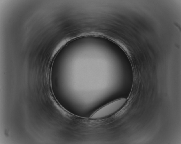 X0000093371054200710111323