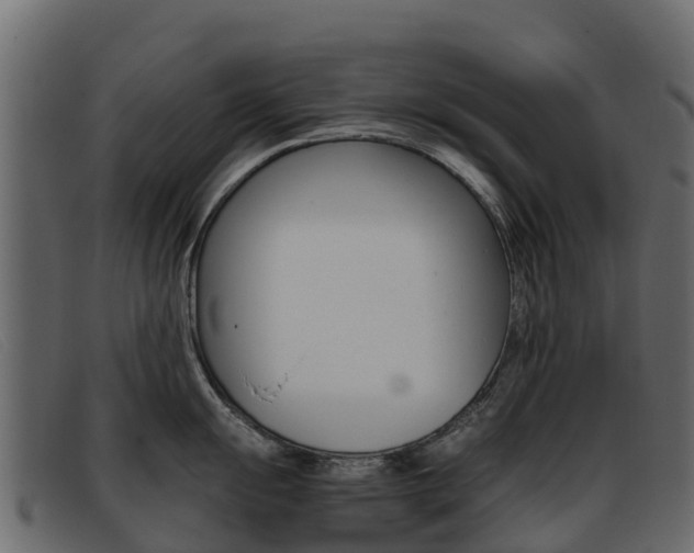 X0000093371055200710111323